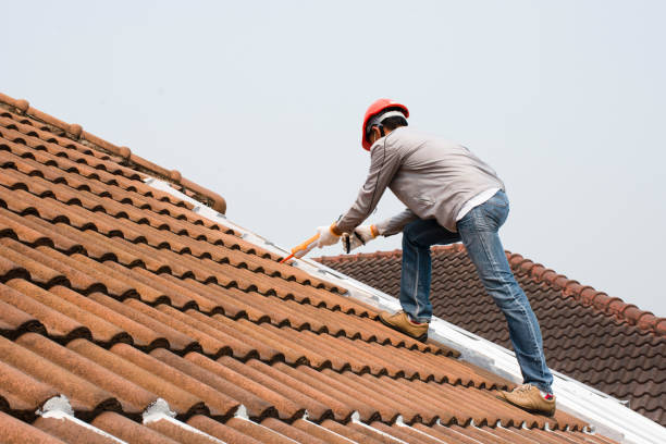 Best Roof Ventilation Installation  in Albers, IL